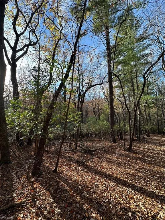 TBD Courtland Lane Lowgap, NC 27024