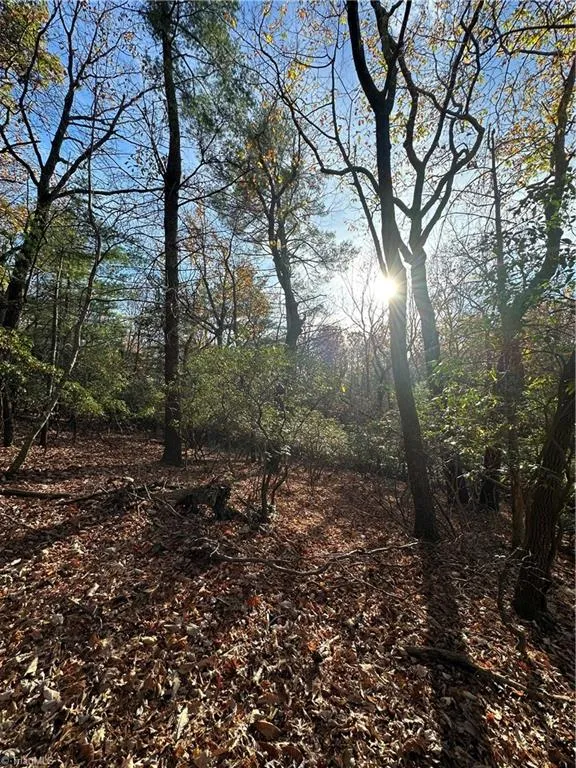 TBD Courtland Lane Lowgap, NC 27024