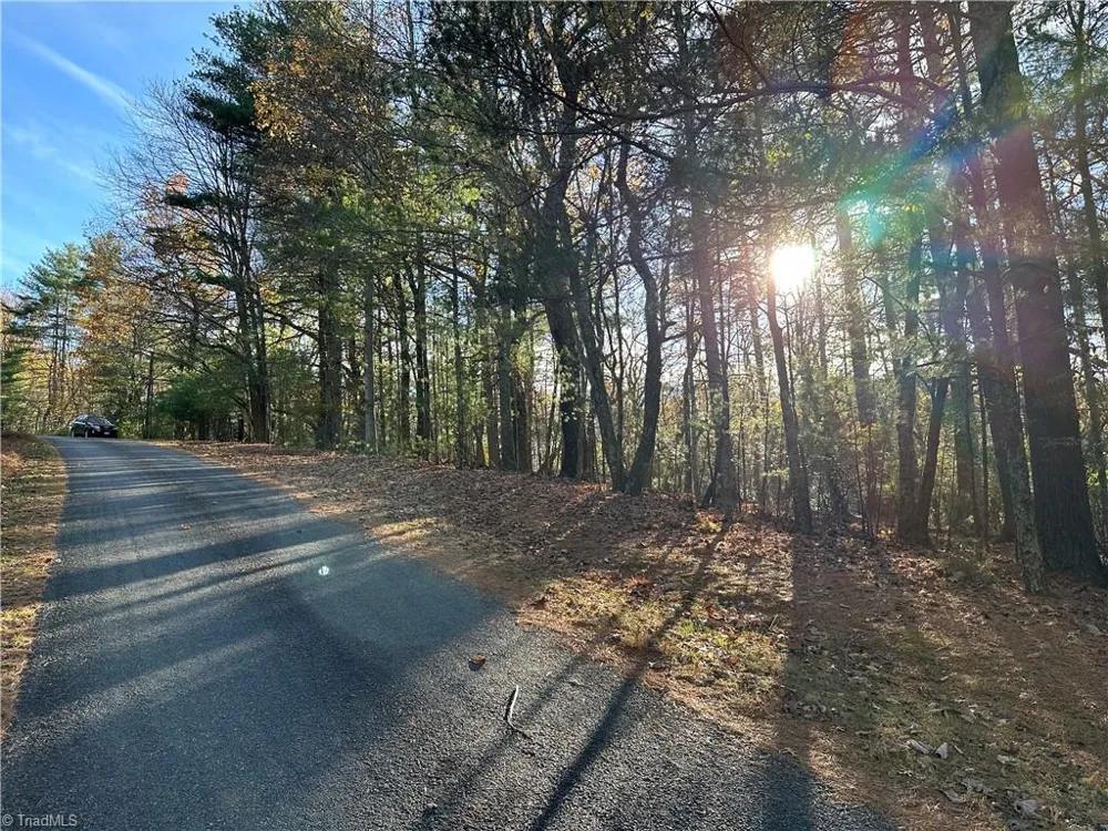 TBD Courtland Lane Lowgap, NC 27024