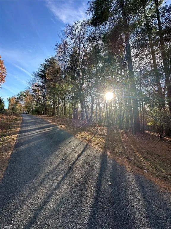 TBD Courtland Lane Lowgap, NC 27024