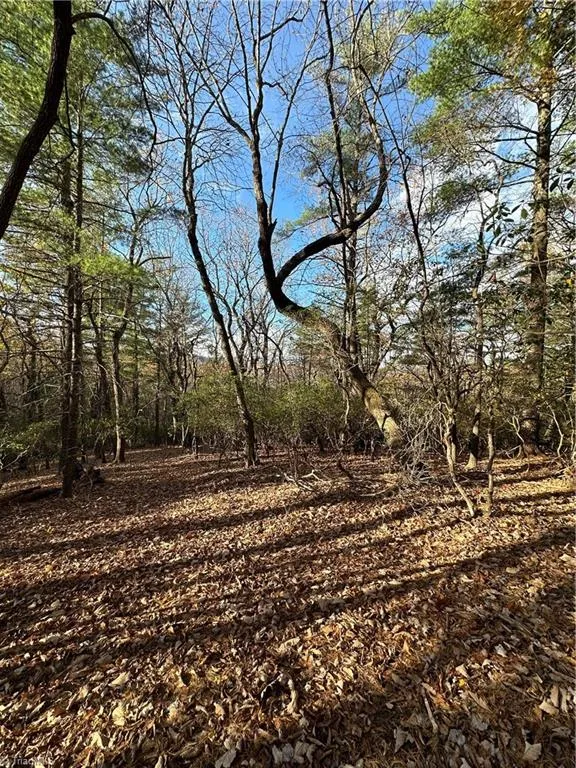 TBD Courtland Lane Lowgap, NC 27024