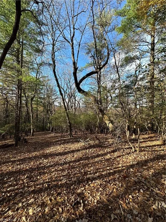 TBD Courtland Lane Lowgap, NC 27024