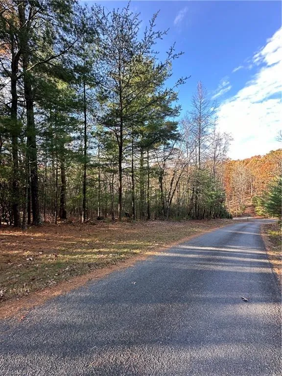 TBD Courtland Lane Lowgap, NC 27024