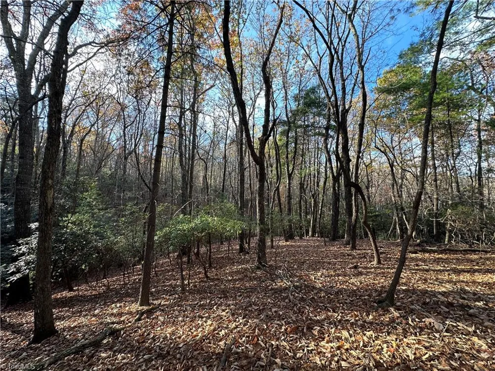 TBD Courtland Lane Lowgap, NC 27024