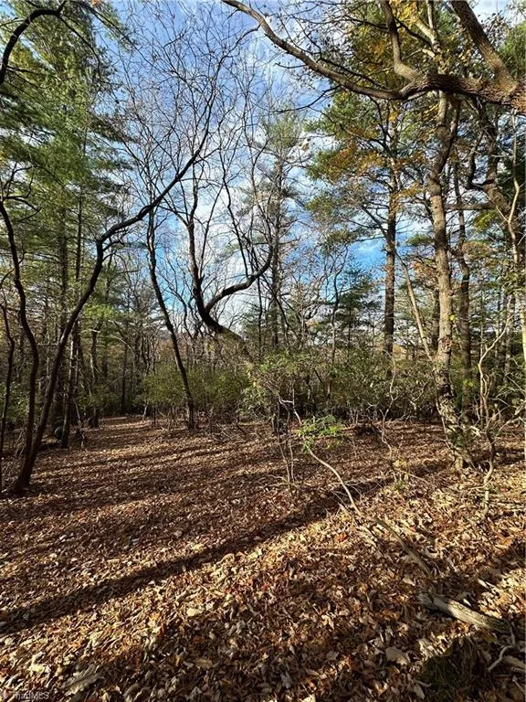 TBD Courtland Lane Lowgap, NC 27024