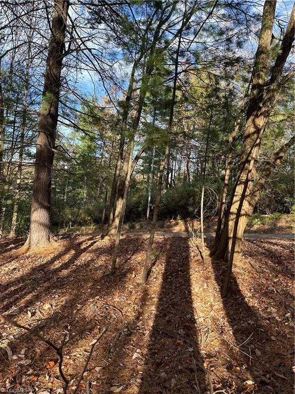 TBD Courtland Lane Lowgap, NC 27024