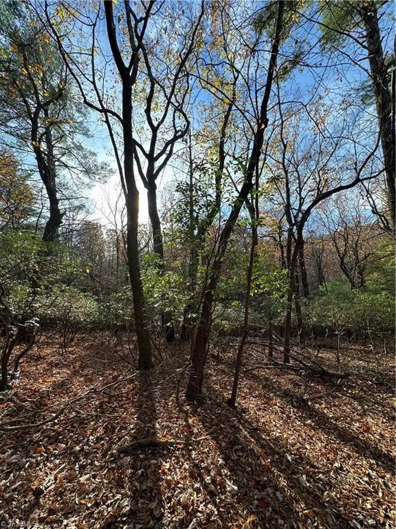 TBD Courtland Lane Lowgap, NC 27024