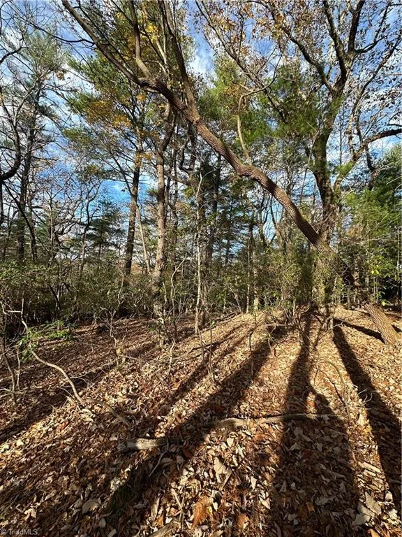 TBD Courtland Lane Lowgap, NC 27024