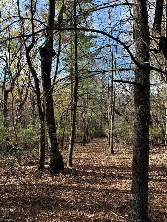 TBD Courtland Lane Lowgap, NC 27024