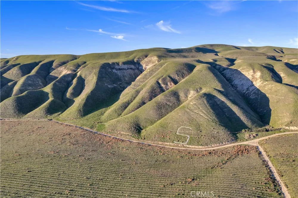 1990 E 46 Shandon, CA 93461