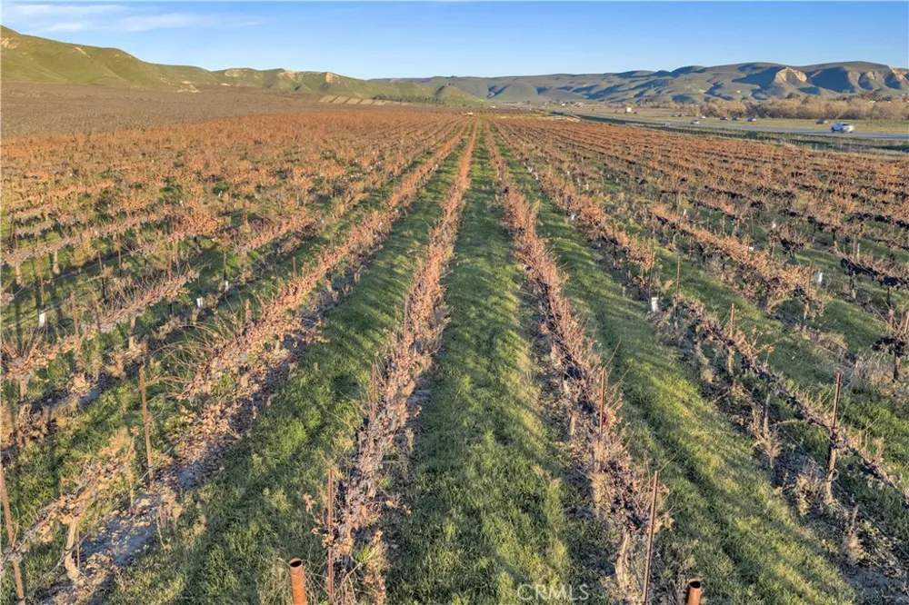 1990 E 46 Shandon, CA 93461