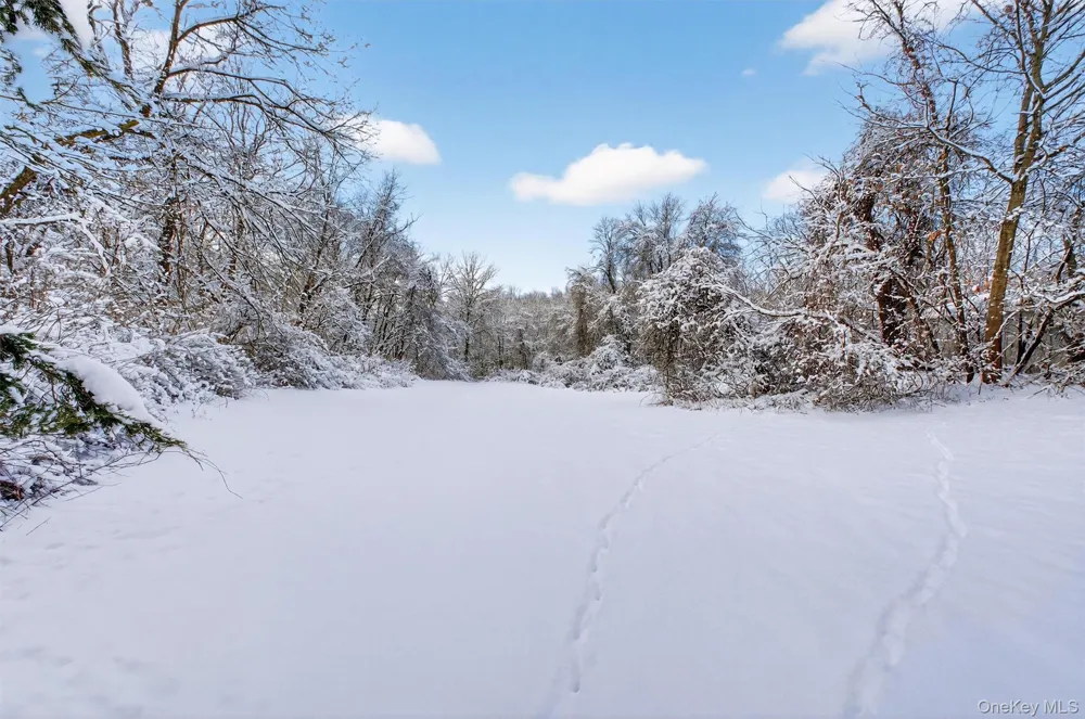 91 Clove Branch Road Hopewell Junction, NY 12533