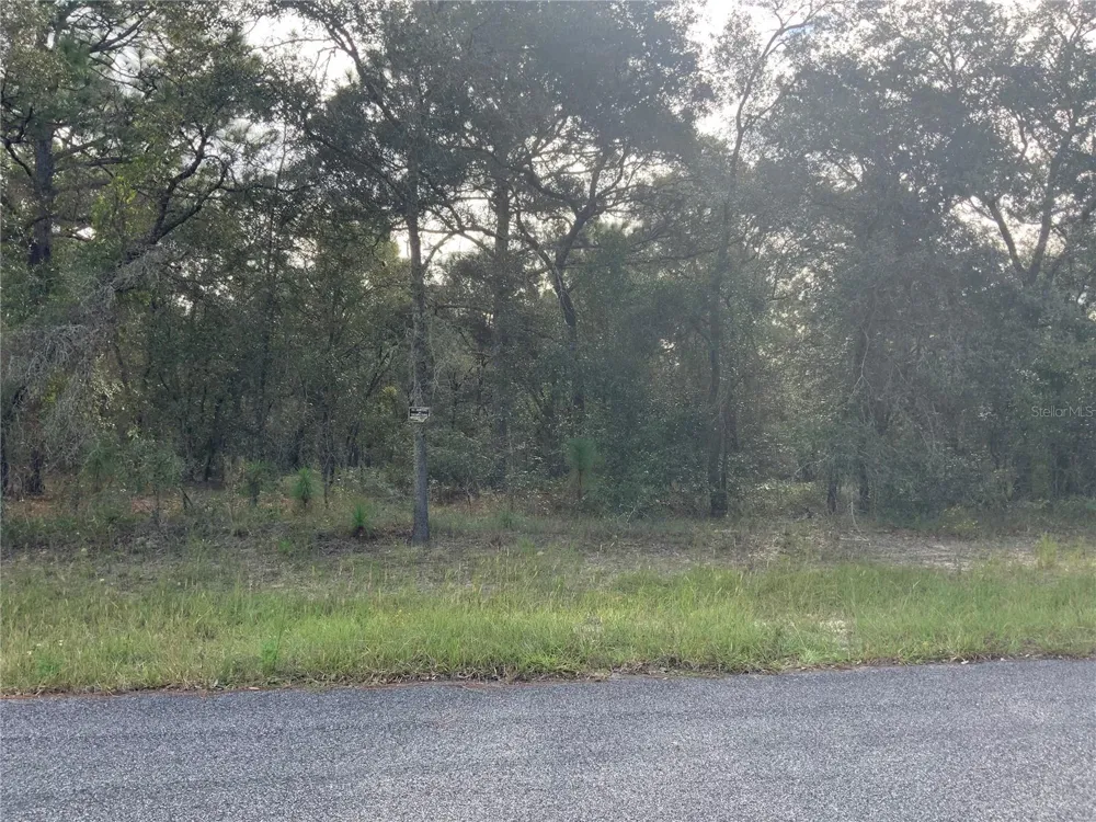 00 SE 136TH.  LOT 9 TERRACE Morriston, FL 32668