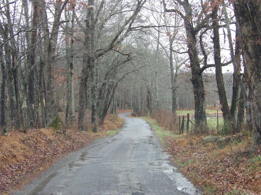 340 Randell Harris Road Evensville, TN 37332