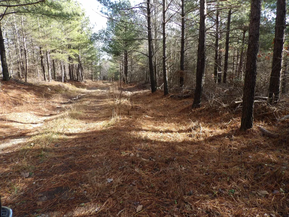 340 Randell Harris Road Evensville, TN 37332