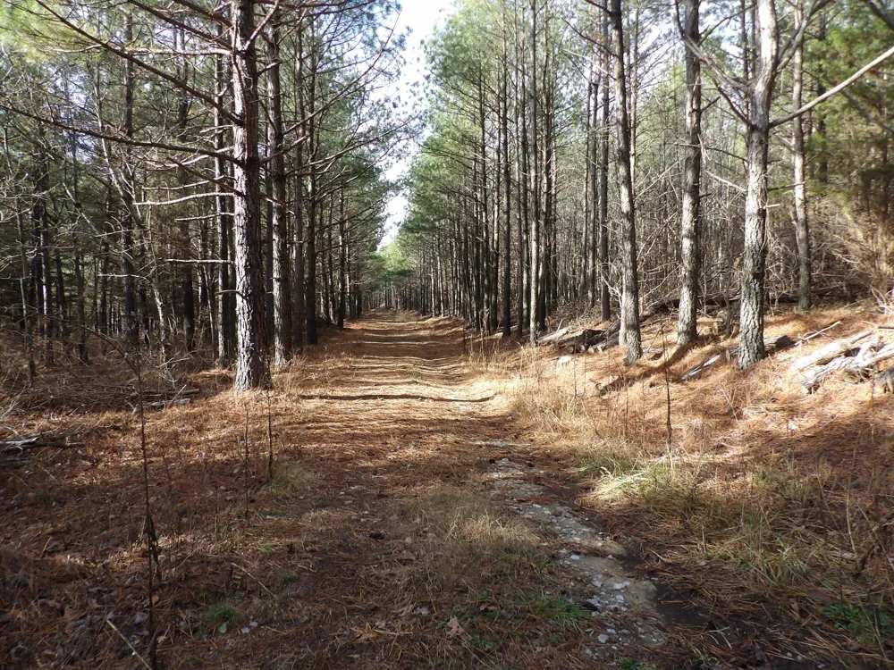 340 Randell Harris Road Evensville, TN 37332