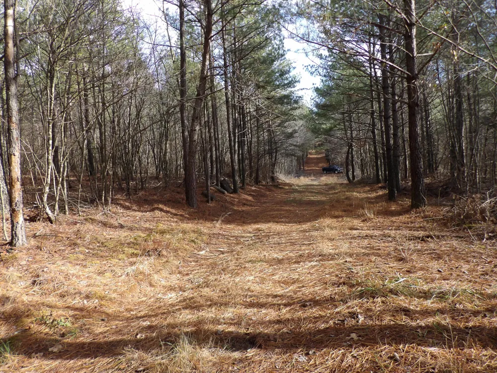 340 Randell Harris Road Evensville, TN 37332