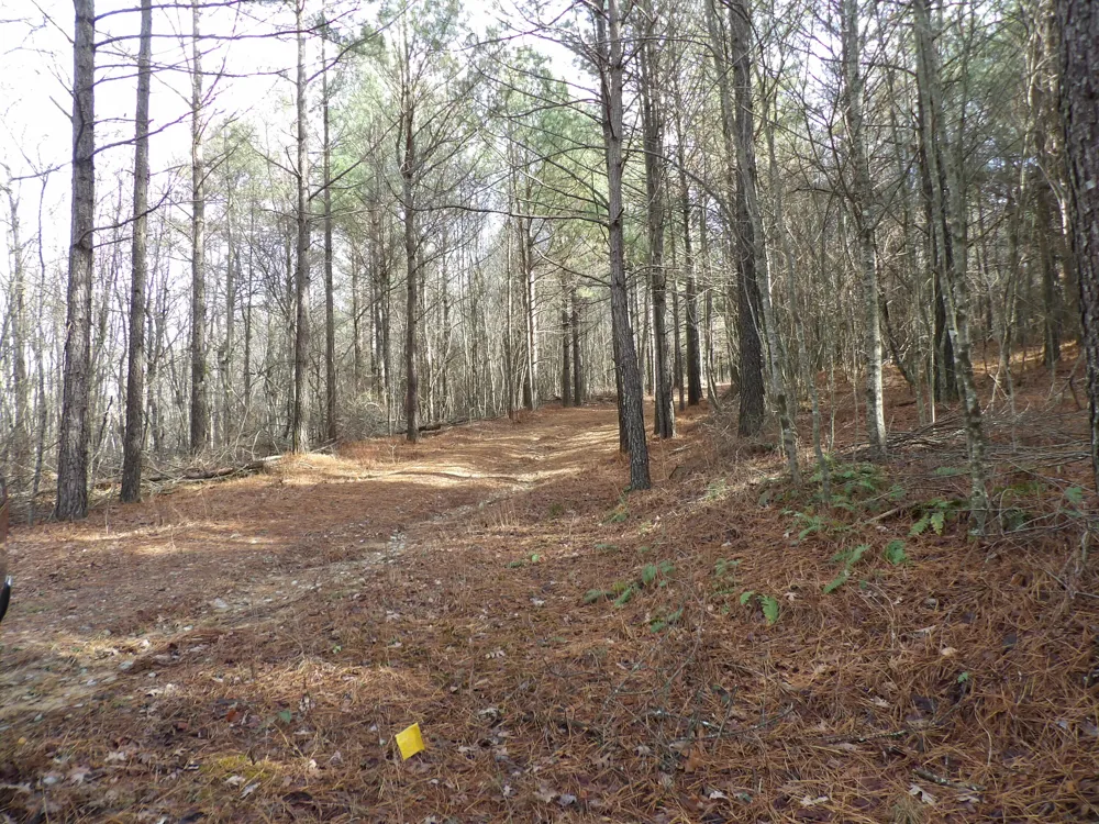 340 Randell Harris Road Evensville, TN 37332