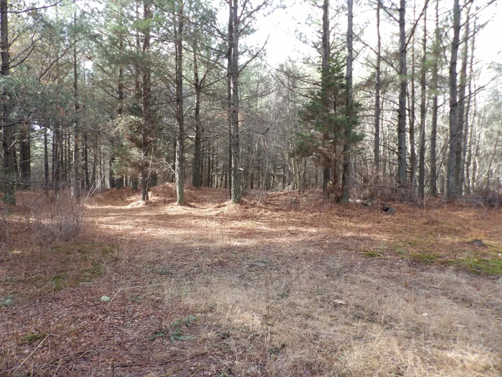 340 Randell Harris Road Evensville, TN 37332