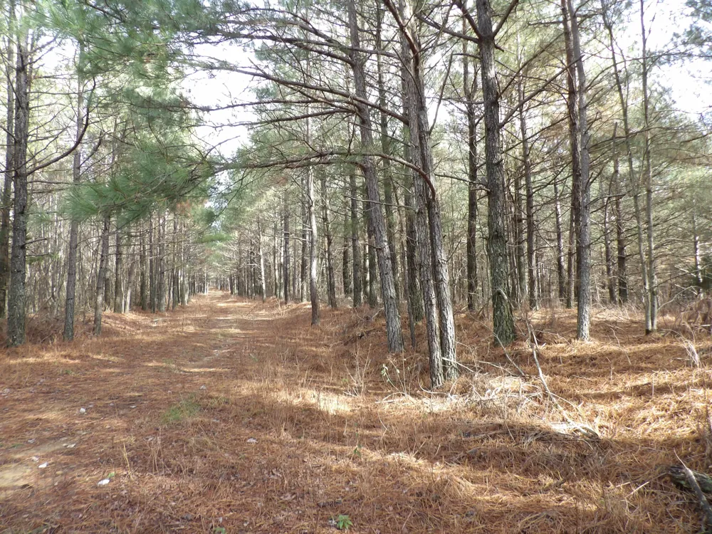 340 Randell Harris Road Evensville, TN 37332