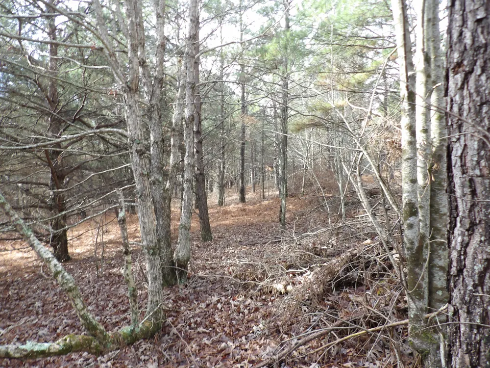 340 Randell Harris Road Evensville, TN 37332