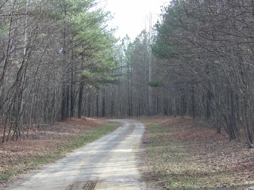 340 Randell Harris Road Evensville, TN 37332