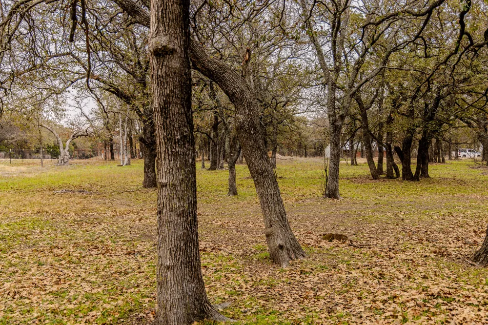 2946 FM 52 Graford, TX 76449