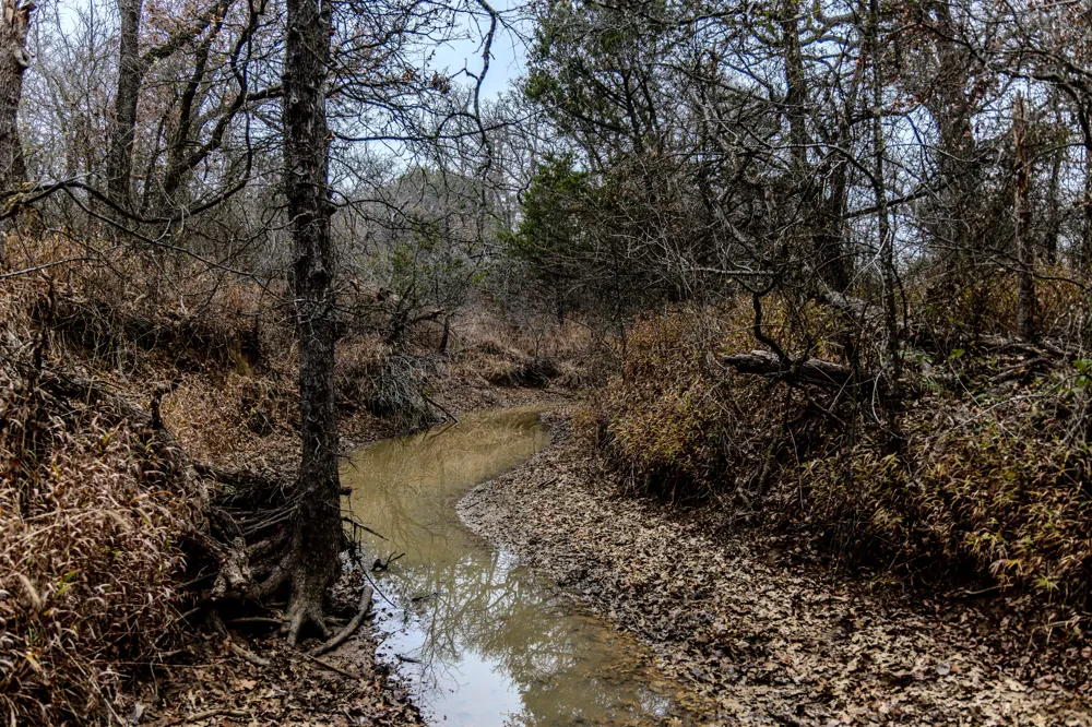 2946 FM 52 Graford, TX 76449