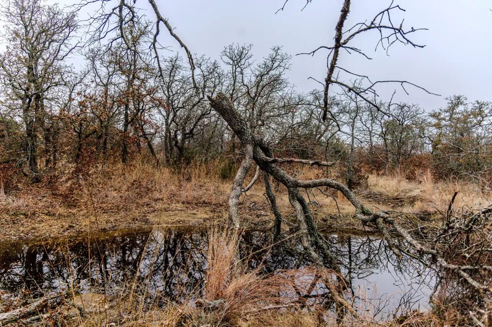 2946 FM 52 Graford, TX 76449