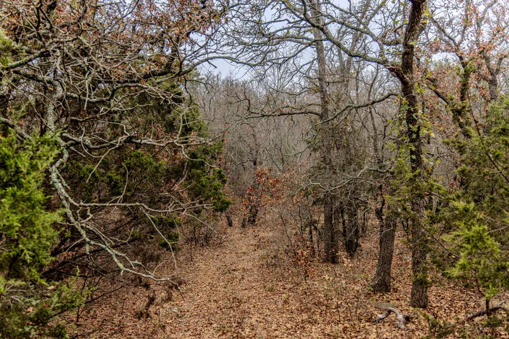 2946 FM 52 Graford, TX 76449