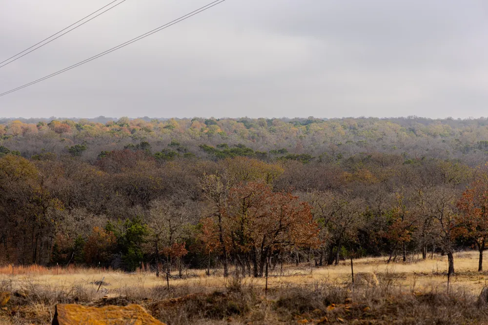 2946 FM 52 Graford, TX 76449