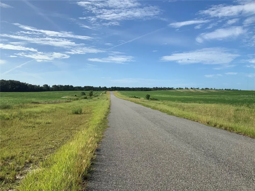 SE 39TH.  LOT 33 STREET Morriston, FL 32668