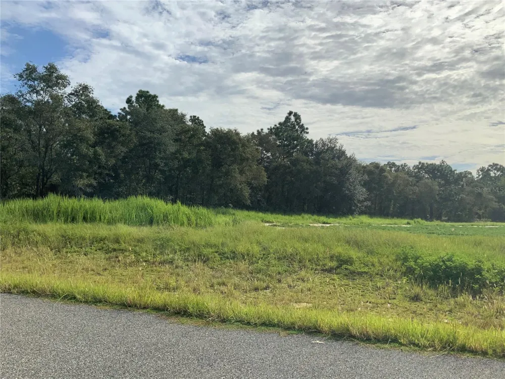 SE 39TH.  LOT 33 STREET Morriston, FL 32668