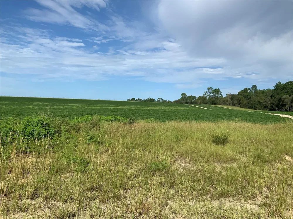 SE 39TH.  LOT 33 STREET Morriston, FL 32668