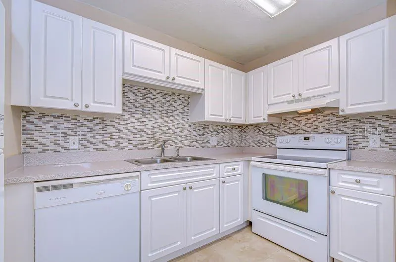 13693 ORANGE SUNSET DRIVE #203 Tampa, FL 33618