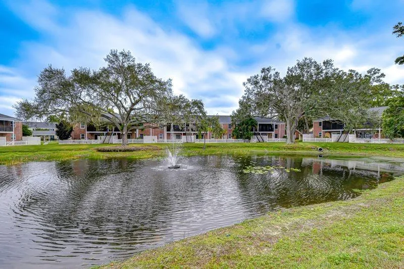 13693 ORANGE SUNSET DRIVE #203 Tampa, FL 33618