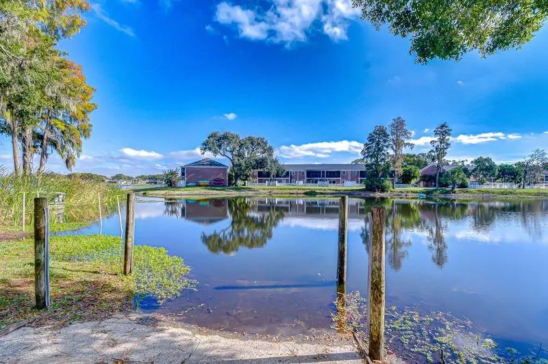 13693 ORANGE SUNSET DRIVE #203 Tampa, FL 33618