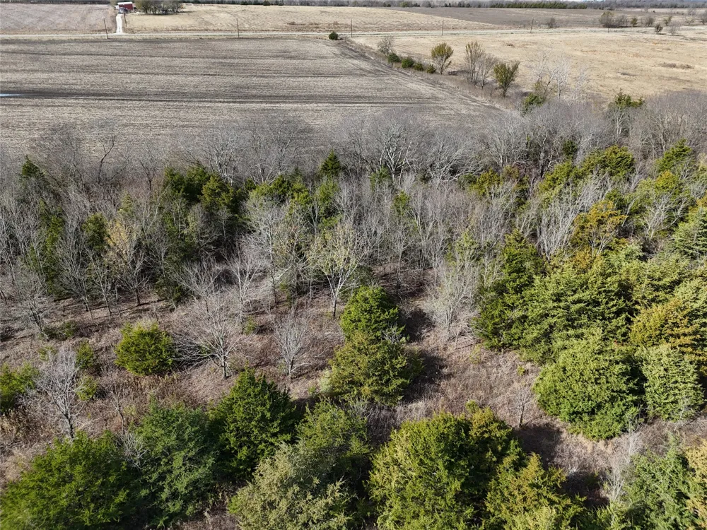 1300 FM 2675 Enloe, TX 75432