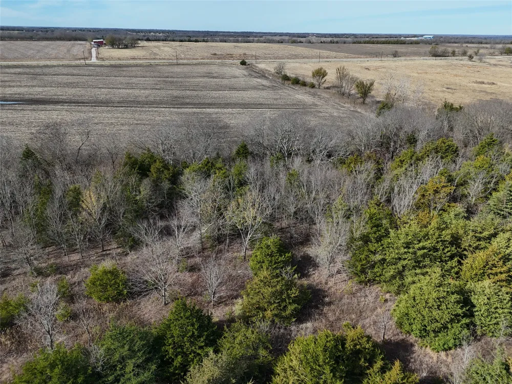 1300 FM 2675 Enloe, TX 75432