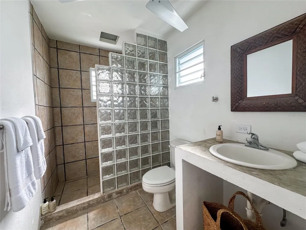 411 BRAVOS DE BOSTON Vieques, PR 00765