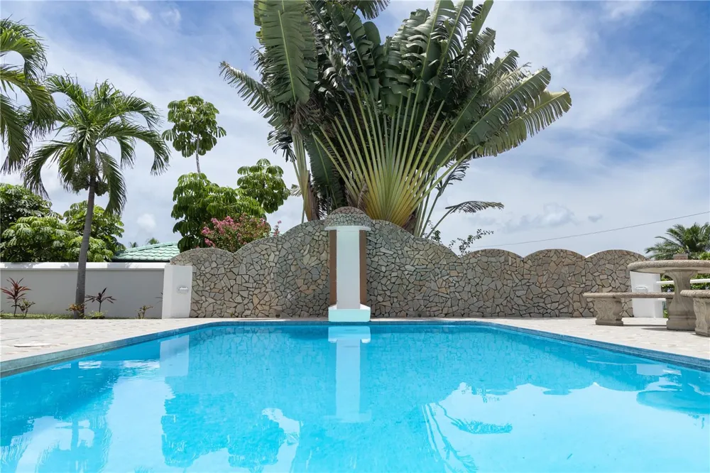 411 BRAVOS DE BOSTON Vieques, PR 00765