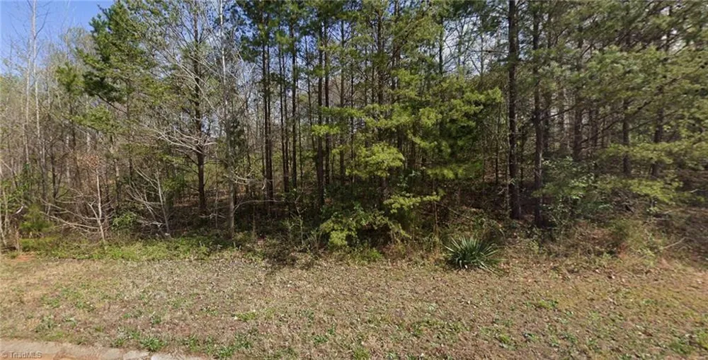 7411 Birchbend Lane #Lot 5