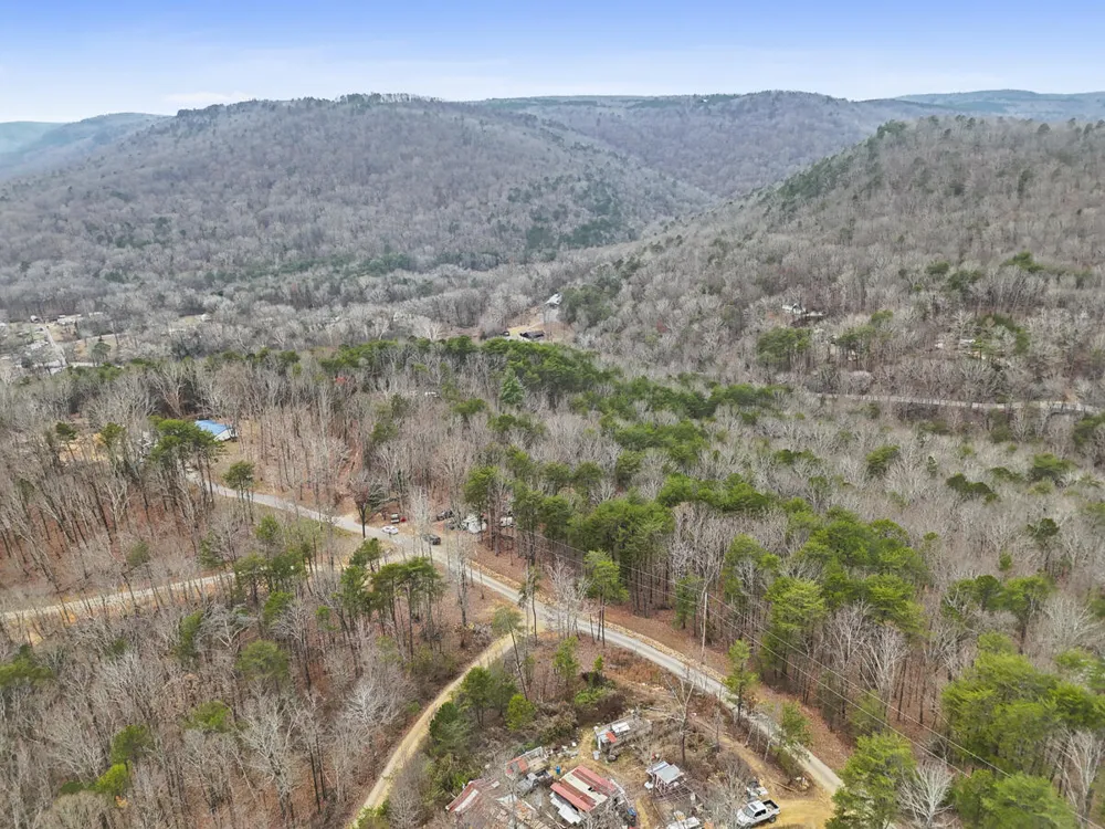 Retro Hughes Road Sale Creek, TN 37373