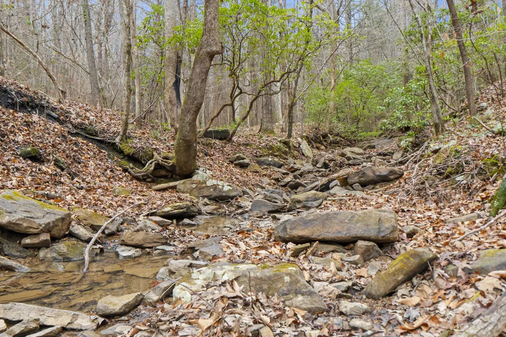 Retro Hughes Road Sale Creek, TN 37373