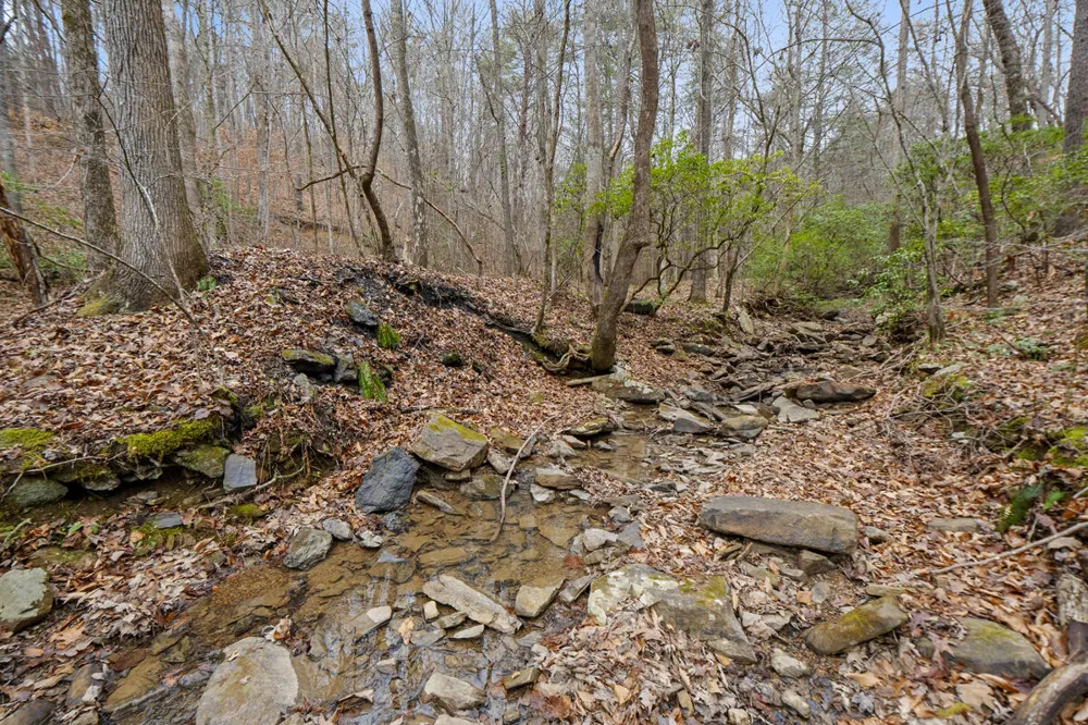 Retro Hughes Road Sale Creek, TN 37373