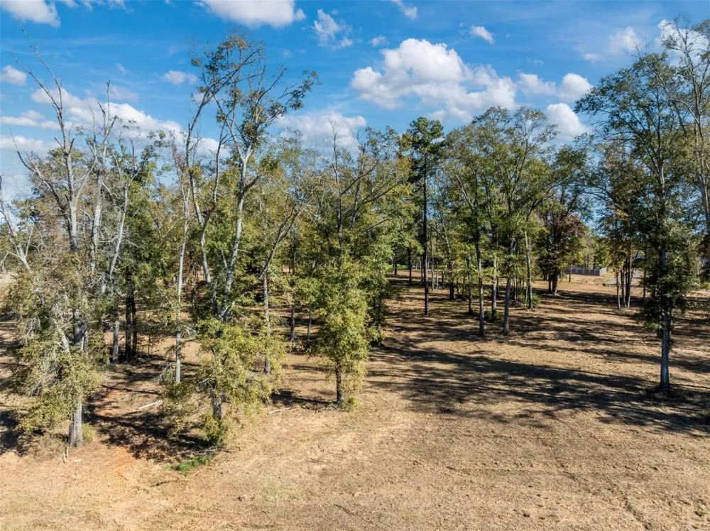 Lot 12, Carolina Drive Bullard, TX 75757