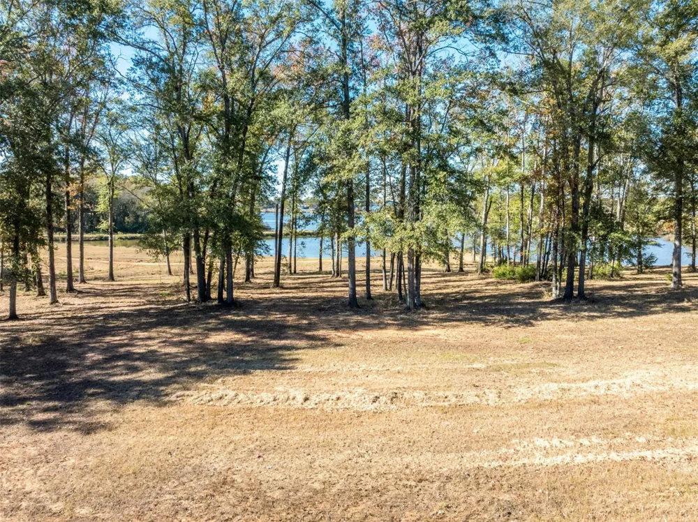 Lot 12, Carolina Drive Bullard, TX 75757