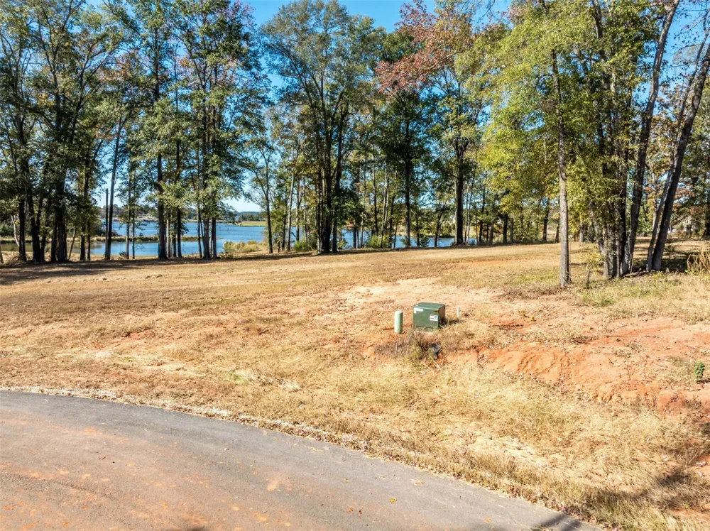 Lot 12, Carolina Drive Bullard, TX 75757