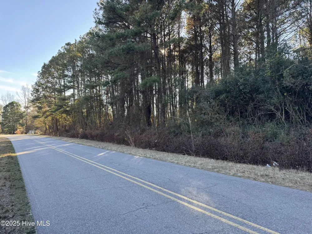 00 New Hope Church Road Turkey, NC 28393