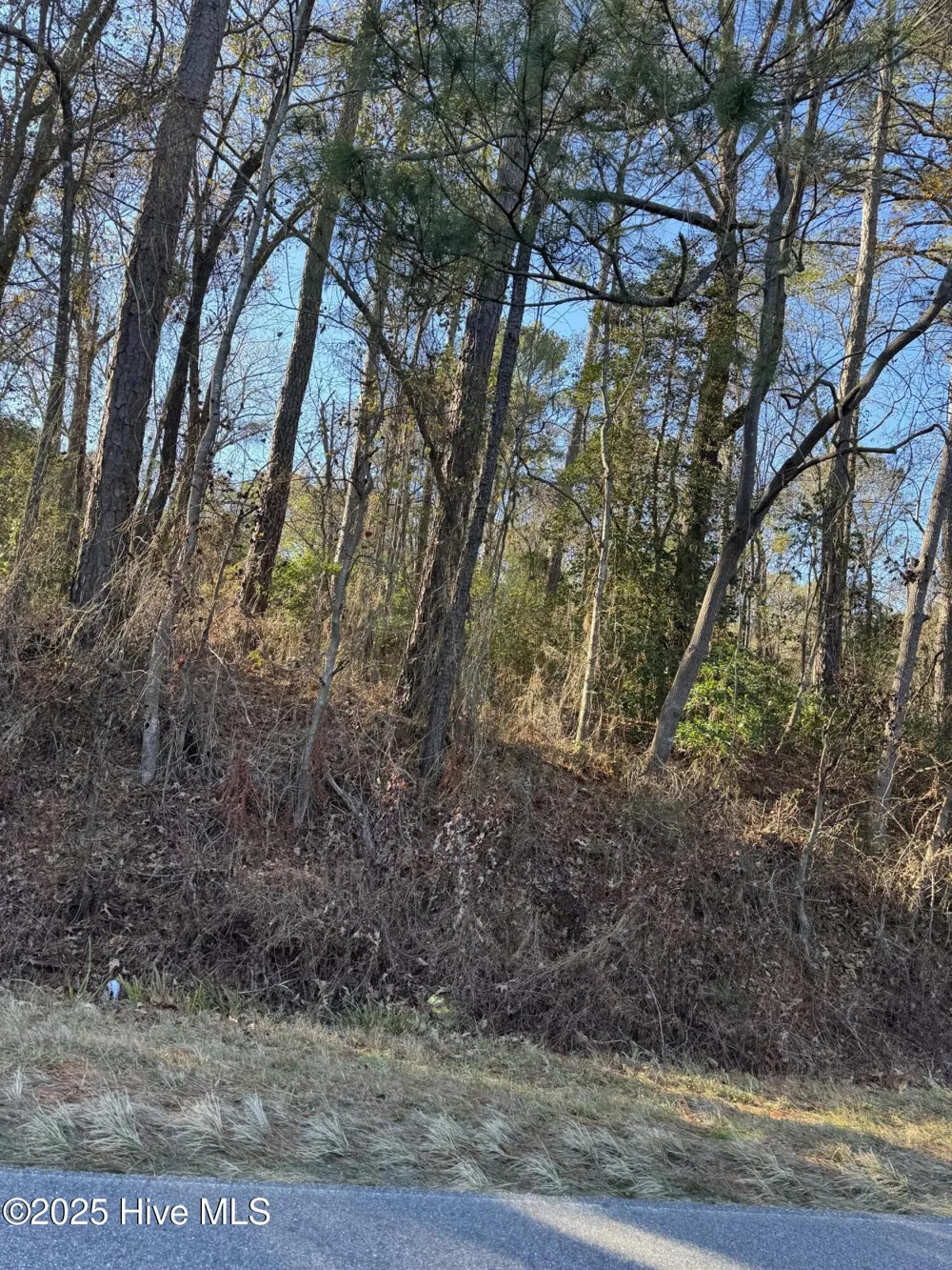 00 New Hope Church Road Turkey, NC 28393